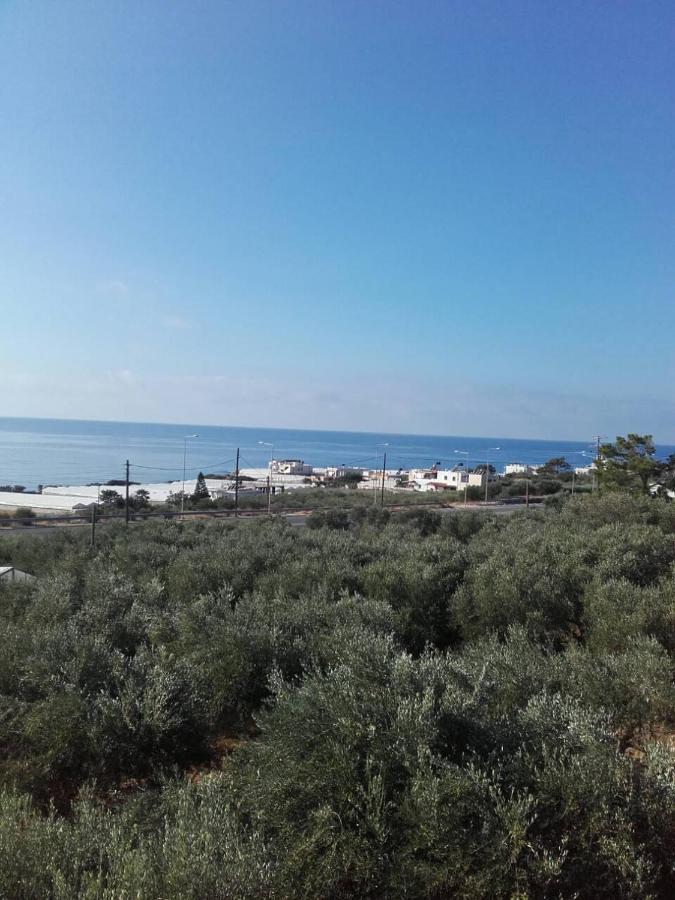 Pericles Traditional Cretan Home Stavrokhorion Экстерьер фото